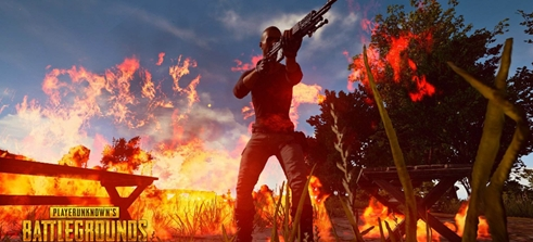 调整和明星 调整和明星