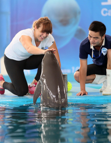 河道视野 河道视野
